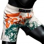 Fairtex AB22 Шорты ММА "Desert Rider"